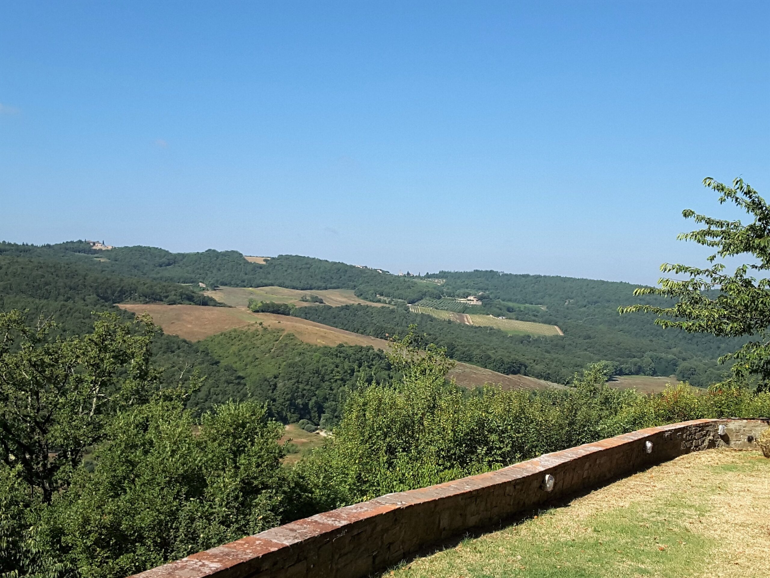 Farm for sale – Tuscany, Greve in Chianti