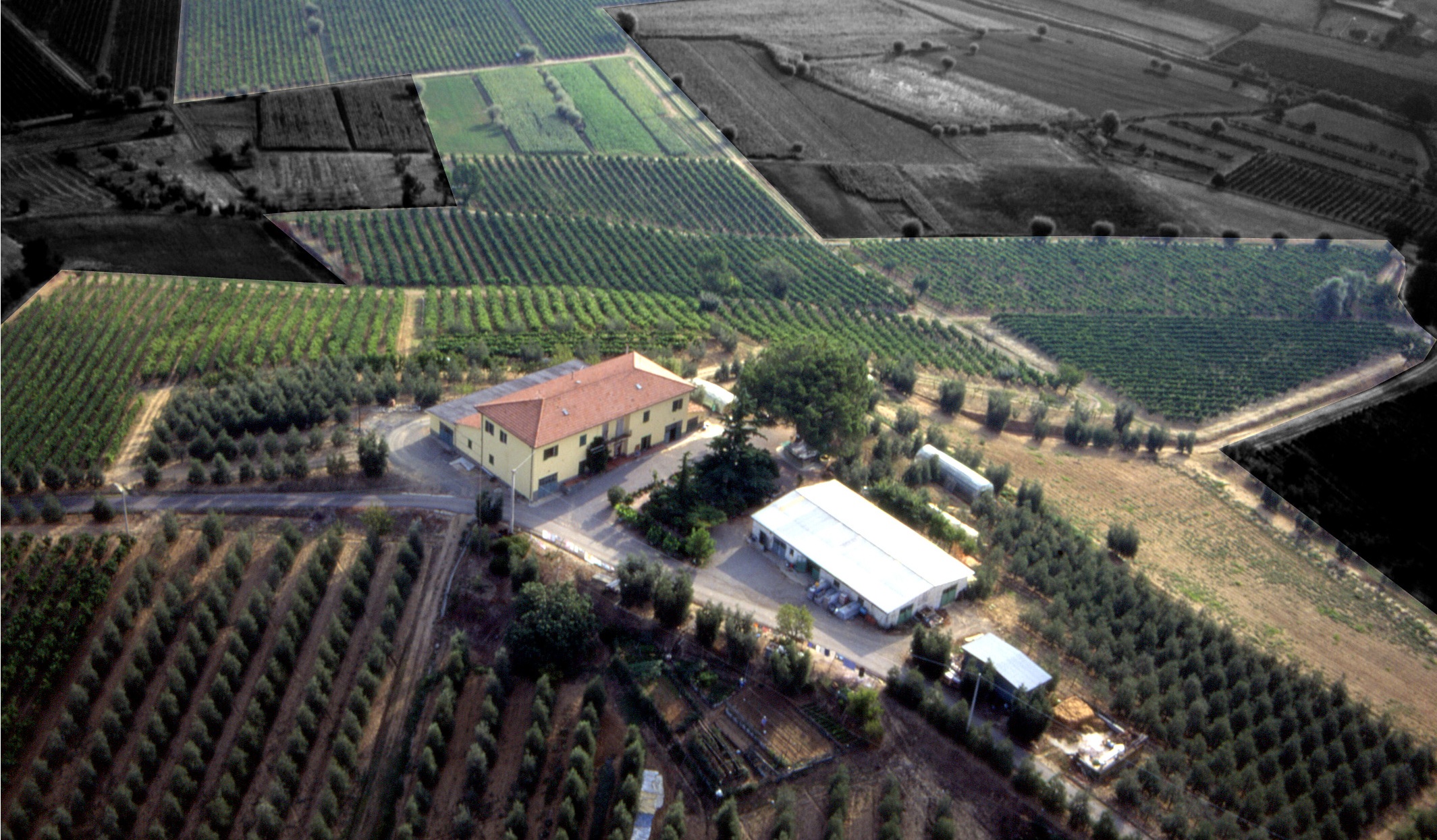 Farming estate for sale – Tuscany, Chianti, Cerreto Guidi