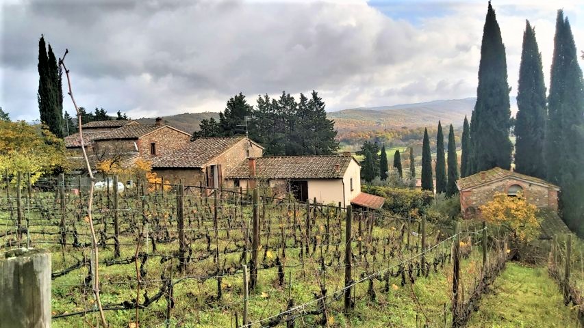 Farmhouse with vineyard close to Bucine